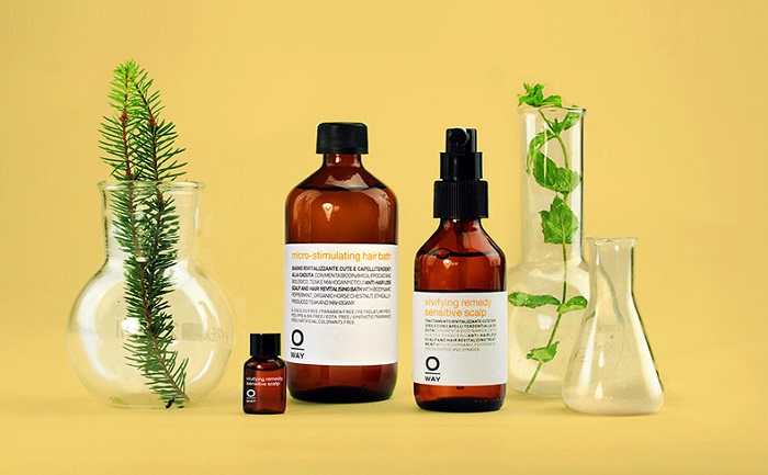 oily scalp hair loss 2